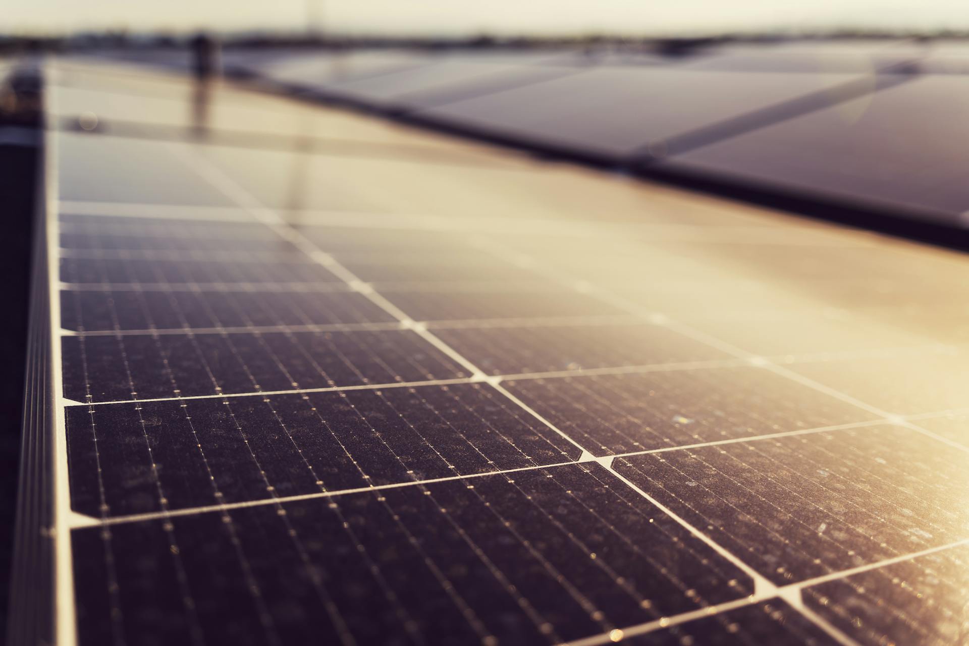 Fotovoltaica bifacial: